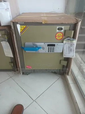 Standard Fire Proof Save