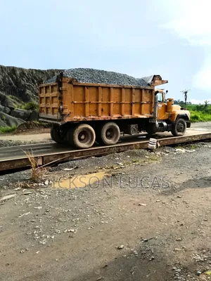 IRON Chippings