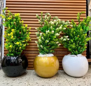 Round Fiber Pot With Plant