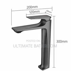 Long Black Basin Faucet IBS