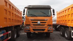 China Used Howo Truck, 2016 Model