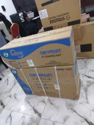 The Best Skyrun Inverter AC