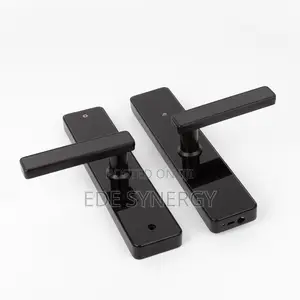 Biometric Smart Intelligence Lock Home and Office Use
