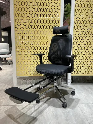Office Chairs With Foot Rest Black Color and Net Back
