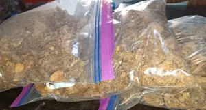 Dry Meat for Dogs