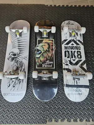 Adult Skate Board GX60
