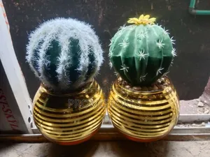 2 Artificial Cactus Plant Mini Pot Tabletop Succulent Plants