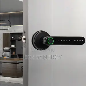 Biometric Intelligence Smartlock