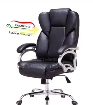 Standard Executive Office Ergonomic Leather Chair
