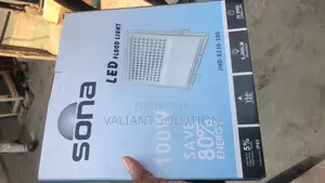 LED Flood Light