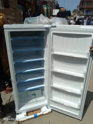 Lg Standing Freezer for Blocks and Can Minerals Purposes