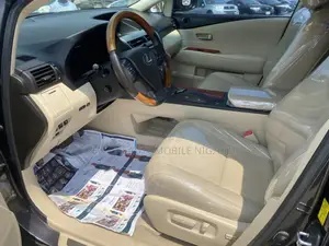 Lexus RX 350 2010 Gray