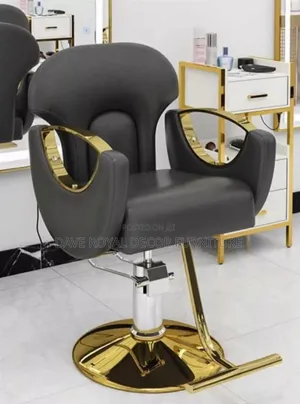 Exotic Quality Modern Salon Chair