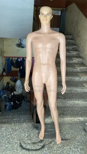 Normal Size Male