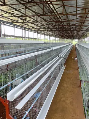 Poultry Cage Direct Manufacturer In Nigeria