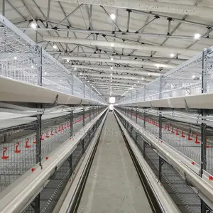 Fully Automated Broiler Cage ,Farm Setup Experts