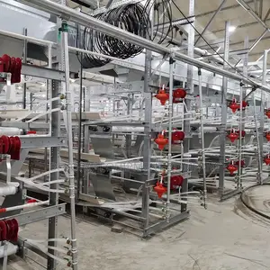Broiler Rearing Cage ,Day Old Chicks,Point of Lay Birds