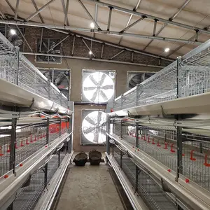 Broiler Cage,Automatic Poultry Equipment ,Nipple Drinker