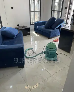 Upholstery Expert Deep Cleaning House Cleaning Services