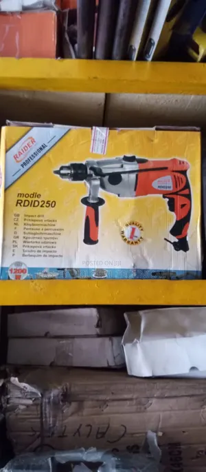 Raider Professional Rdid250 Drilling Machine