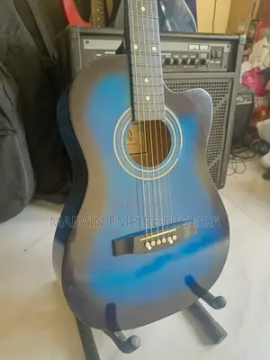 Armstrong Acoustic Guitar_ USA