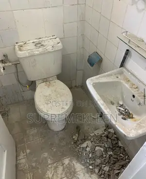 Pest Control & Fumigation/Post Construction Cleaning Service