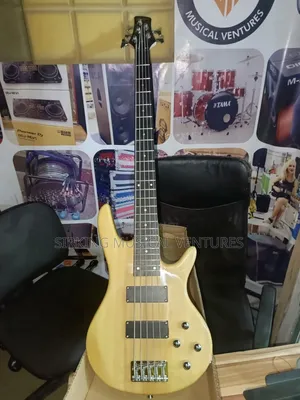 5 Strings Bass Guitar 24 Flex With Belt, Bag Extra Strings