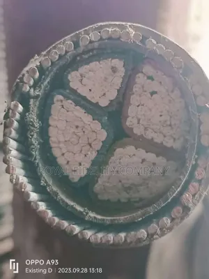 300mmx4core Aluminum Armoured Cable