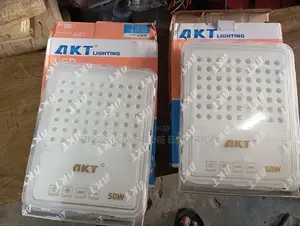 50 Watts Security Lights