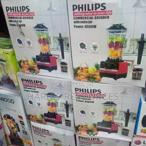 Philips Professional Commercial Blender Double Cup