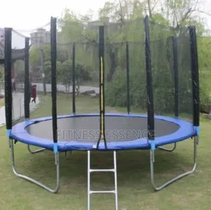 Big 10ft Trampoline With Ladder