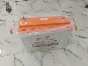 Moderately Priced Finixmega 240ah Solar Tubular Batteries