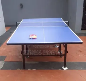 High Quality Outdoor Table Tennis Board With Bat