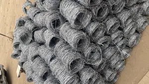 Galvanized Barb Wire