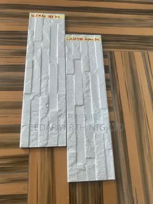 Outside Wall Tiles 2024