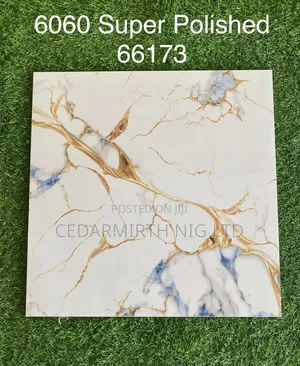 Marble Floor Tile 24 Gw