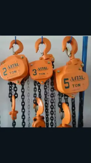 5ton by 3meters Chainblock Vital