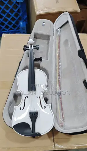 Violin Guitar