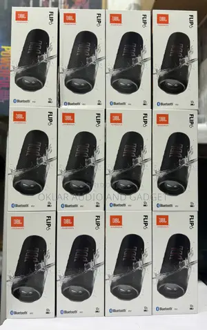 Jbl Flip6 Portable Bluetooth Speaker