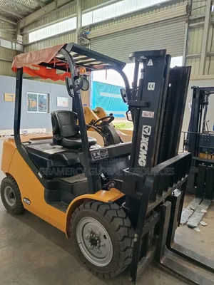 XCMG Forklift 3 Tons N30