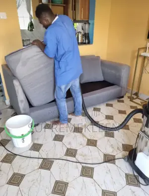 Professional Cleaners, Deep Upholstery Cleaning