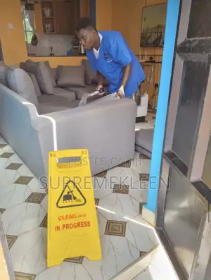 Thorough Upholstery Cleaning Service