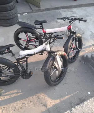Fat Giant Tyre Bicycle