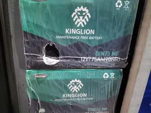 12v 75ah Kinglion Battery