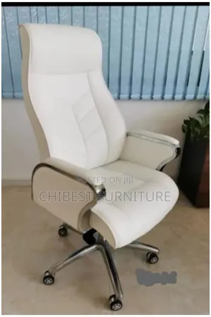 Standard Executive Chair for Office