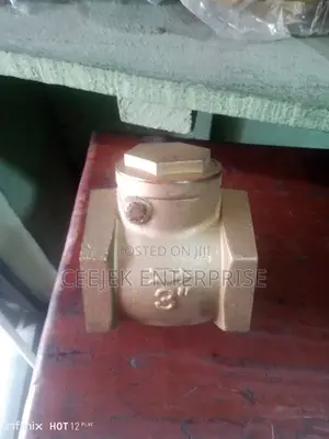 3" Non Return Valve