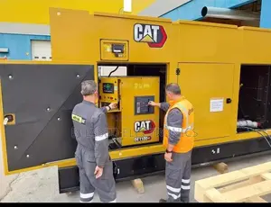 DE1100GC CAT Eltrak Perkins Engine 100% Original Made in Eng
