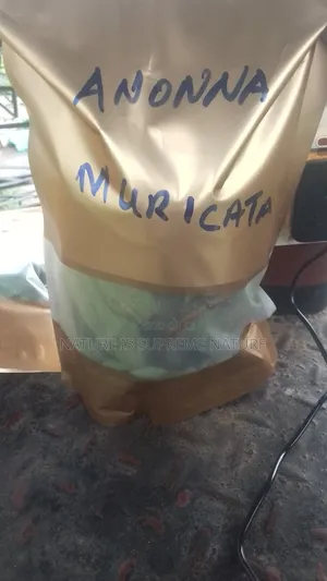 Soursop Leaves Aka Anonna Muricata or Graviola