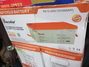 Raysolar Dry Cell Battery