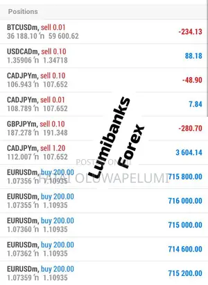 Professional Forex Account/Portfolio Manager